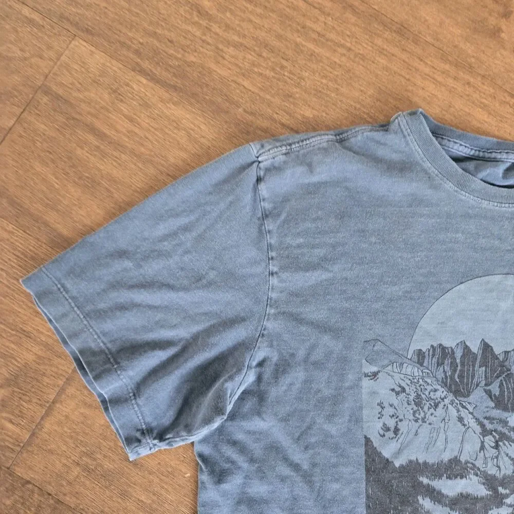 The North Face Short Sleeve T-Shirt  Blue Green Size M